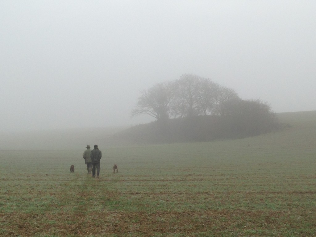 One of my favorite pics of the World Tour so far. The fog, the walk, the pups... just living this moment walking across the land. 