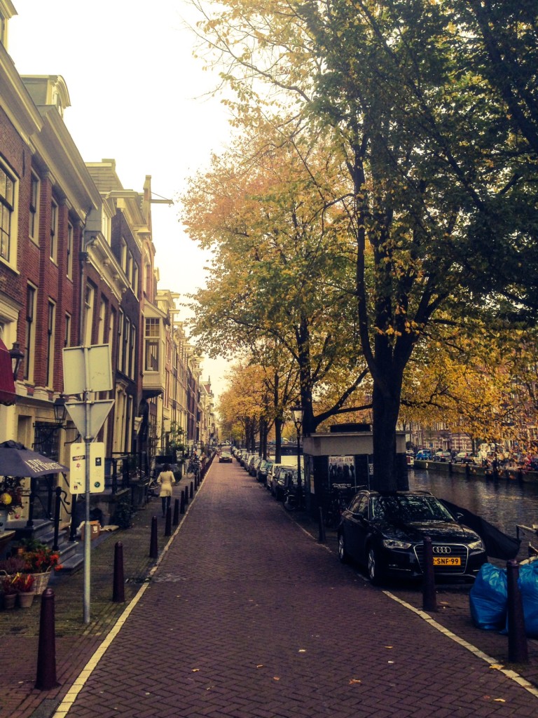 So many cool streets on the canals in Amsterdam.