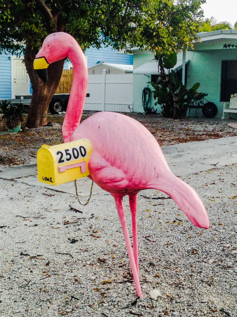 In Florida, you kinda need a flamingo mailbox, ya know?
